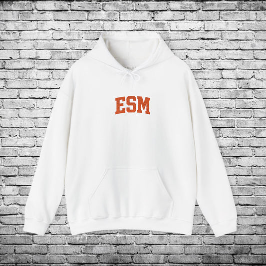 ESM Orange Embroidered Hoodie