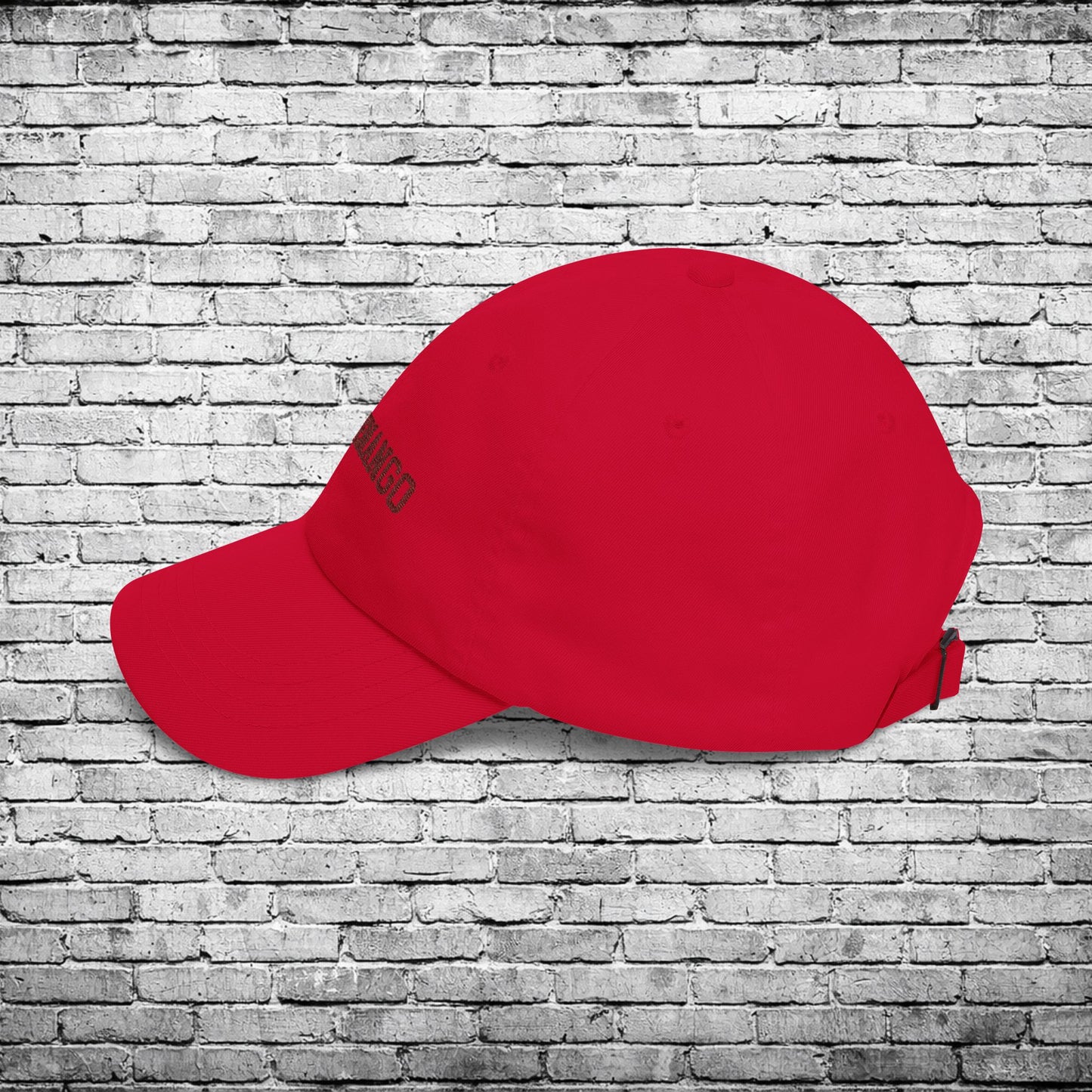 Chittenango Bears Embroidered Dad Cap