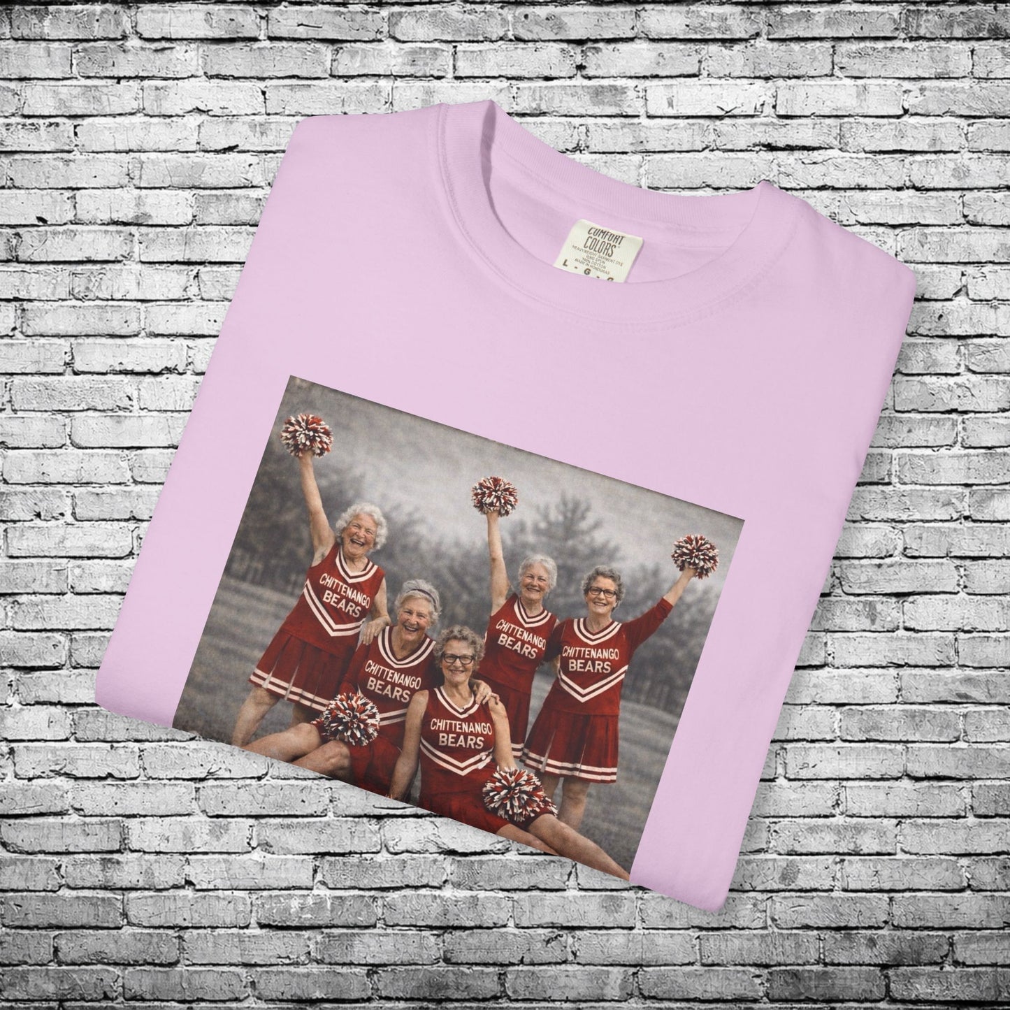 Chittenango Cheer Squad T - Comfort Colors Brand