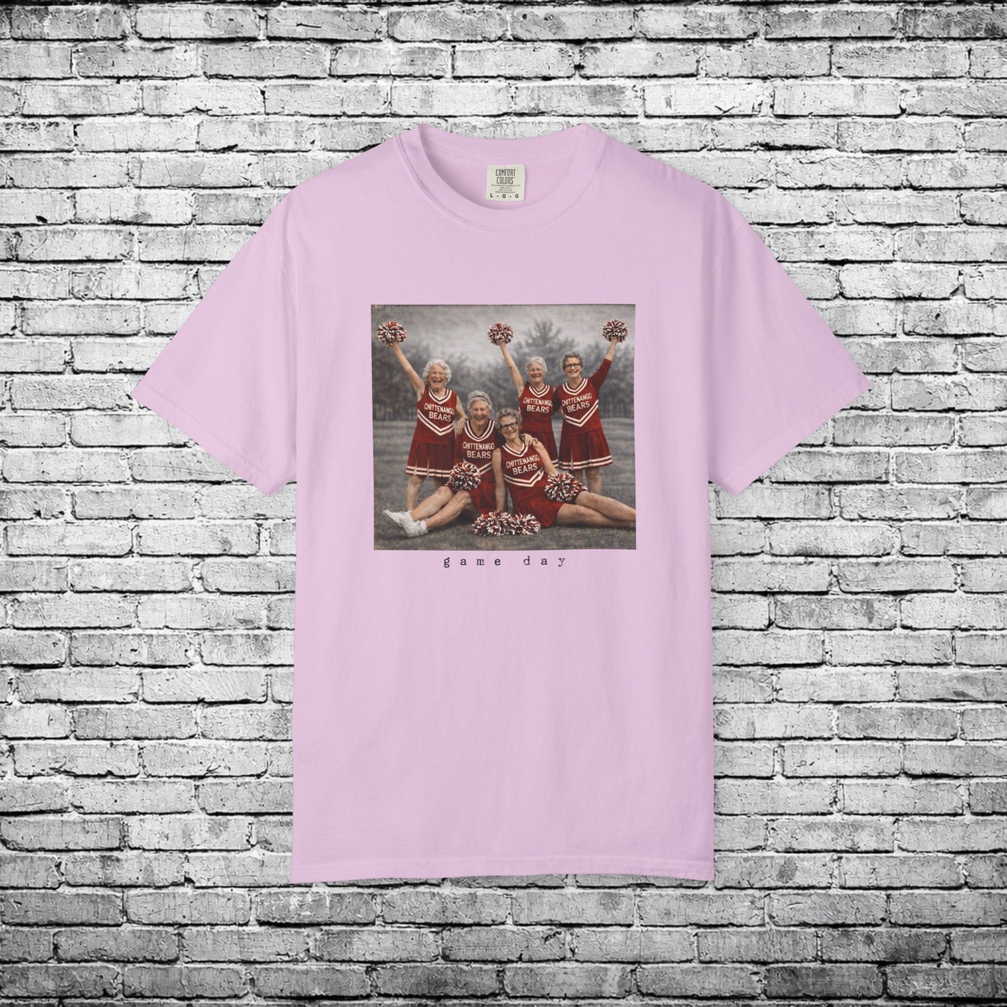 Chittenango Cheer Squad T - Comfort Colors Brand