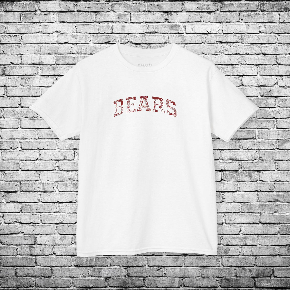 Chittenango Bears Distressed Kids T