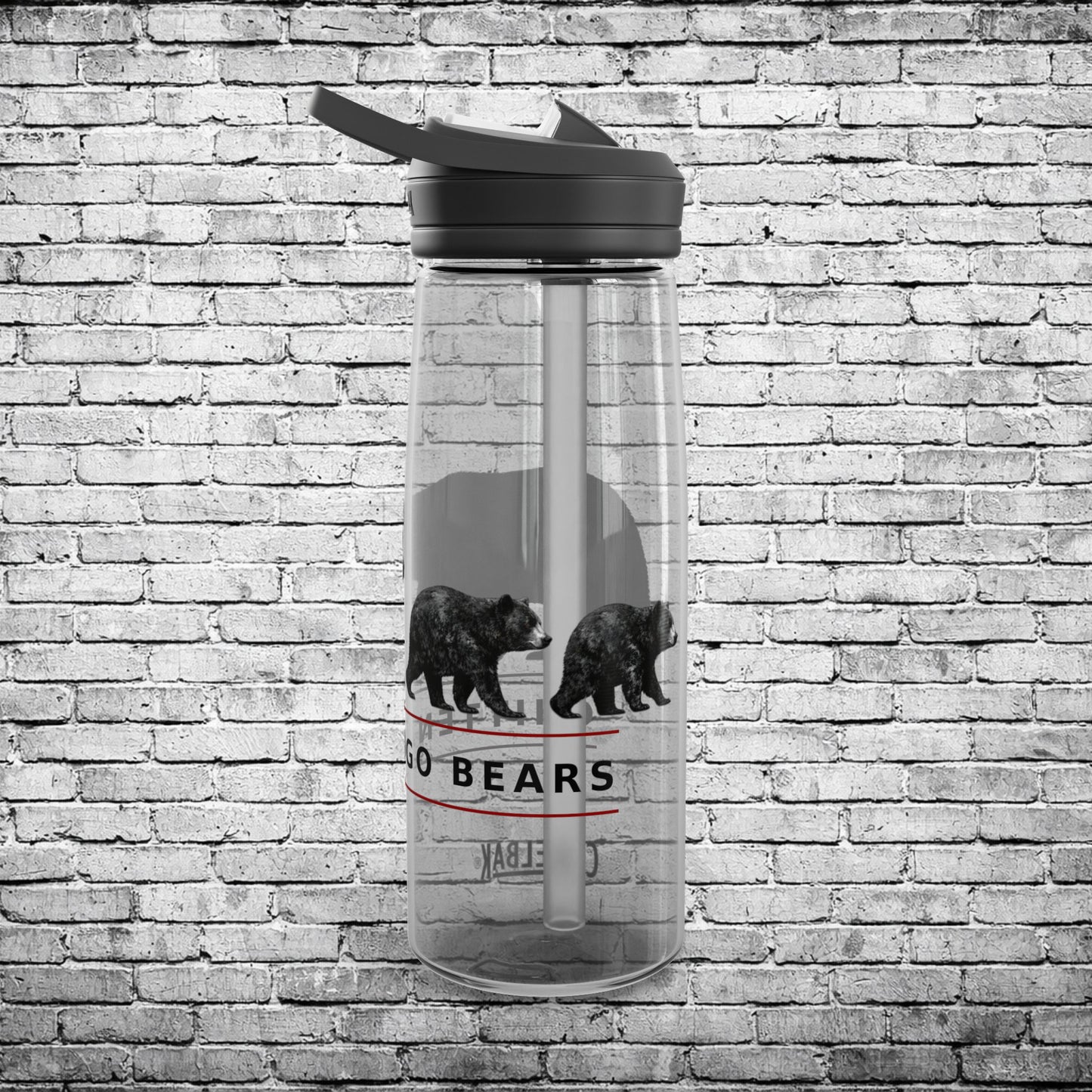 Chittenango CamelBak Three Bears Water Bottle