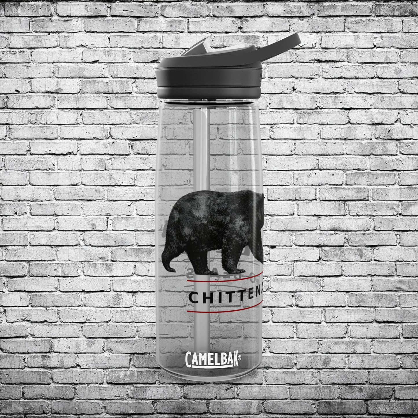 Chittenango CamelBak Three Bears Water Bottle