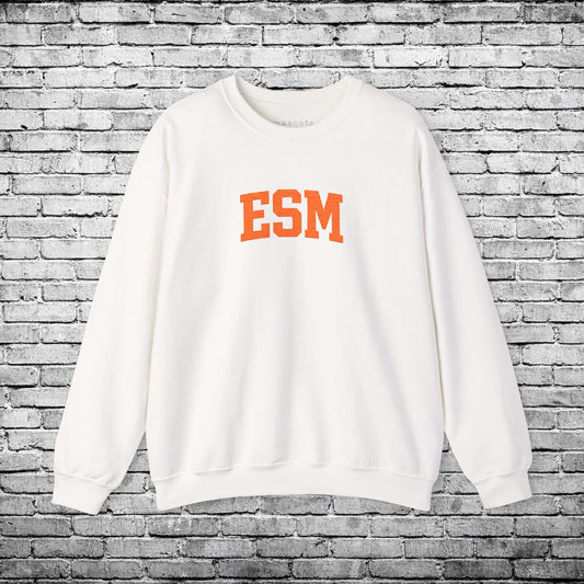 ESM Orange Embroidered Sweatshirt
