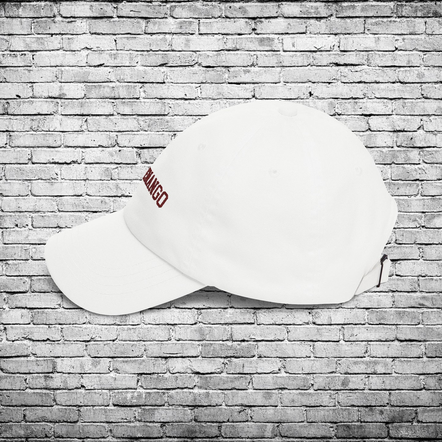 Chittenango Bears Embroidered Dad Cap