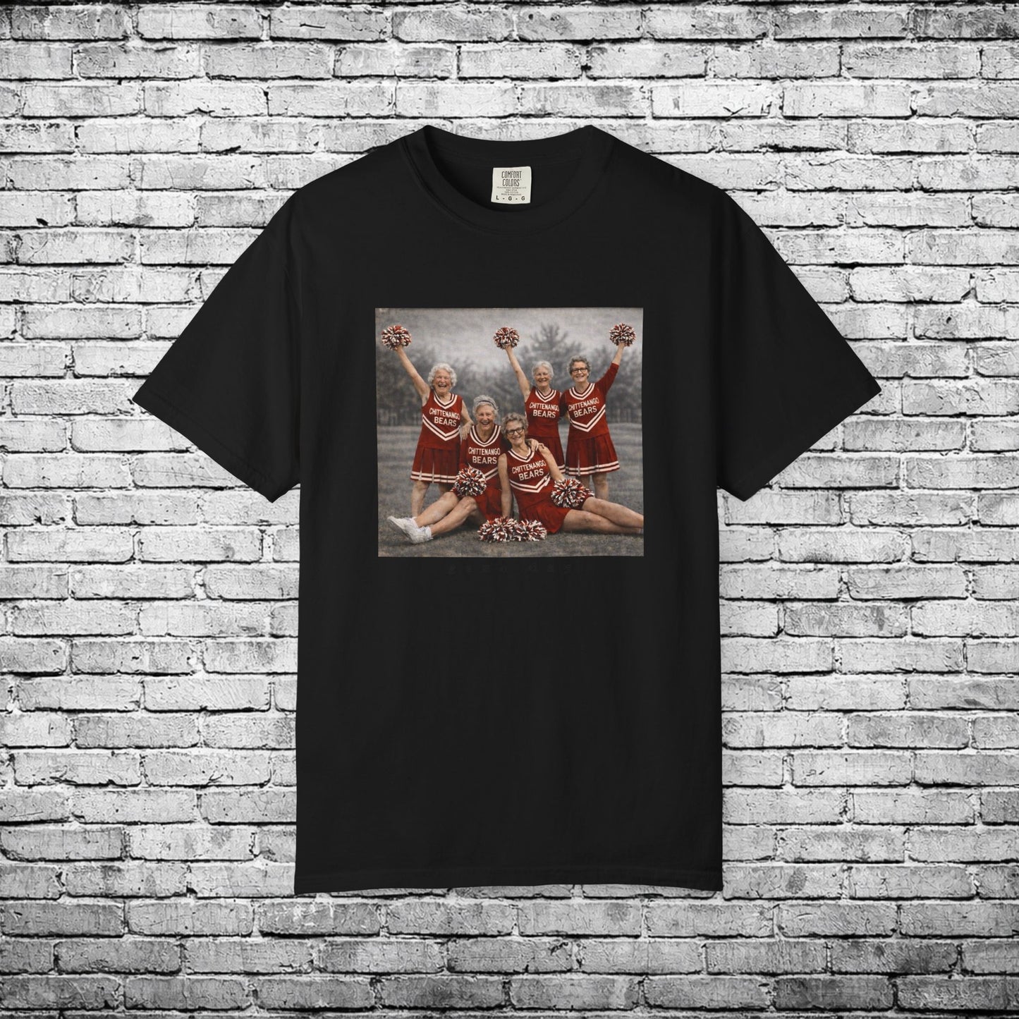 Chittenango Cheer Squad T - Comfort Colors Brand