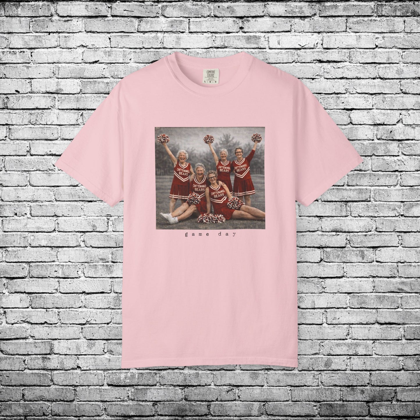 Chittenango Cheer Squad T - Comfort Colors Brand