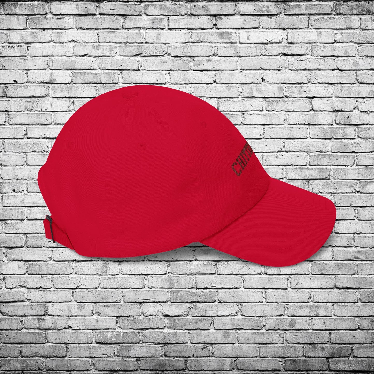 Chittenango Bears Embroidered Dad Cap