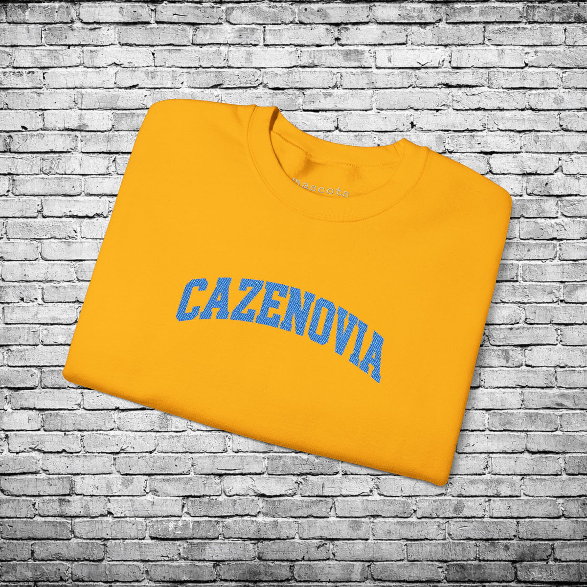 Cazenovia Blue Embroidered Sweatshirt