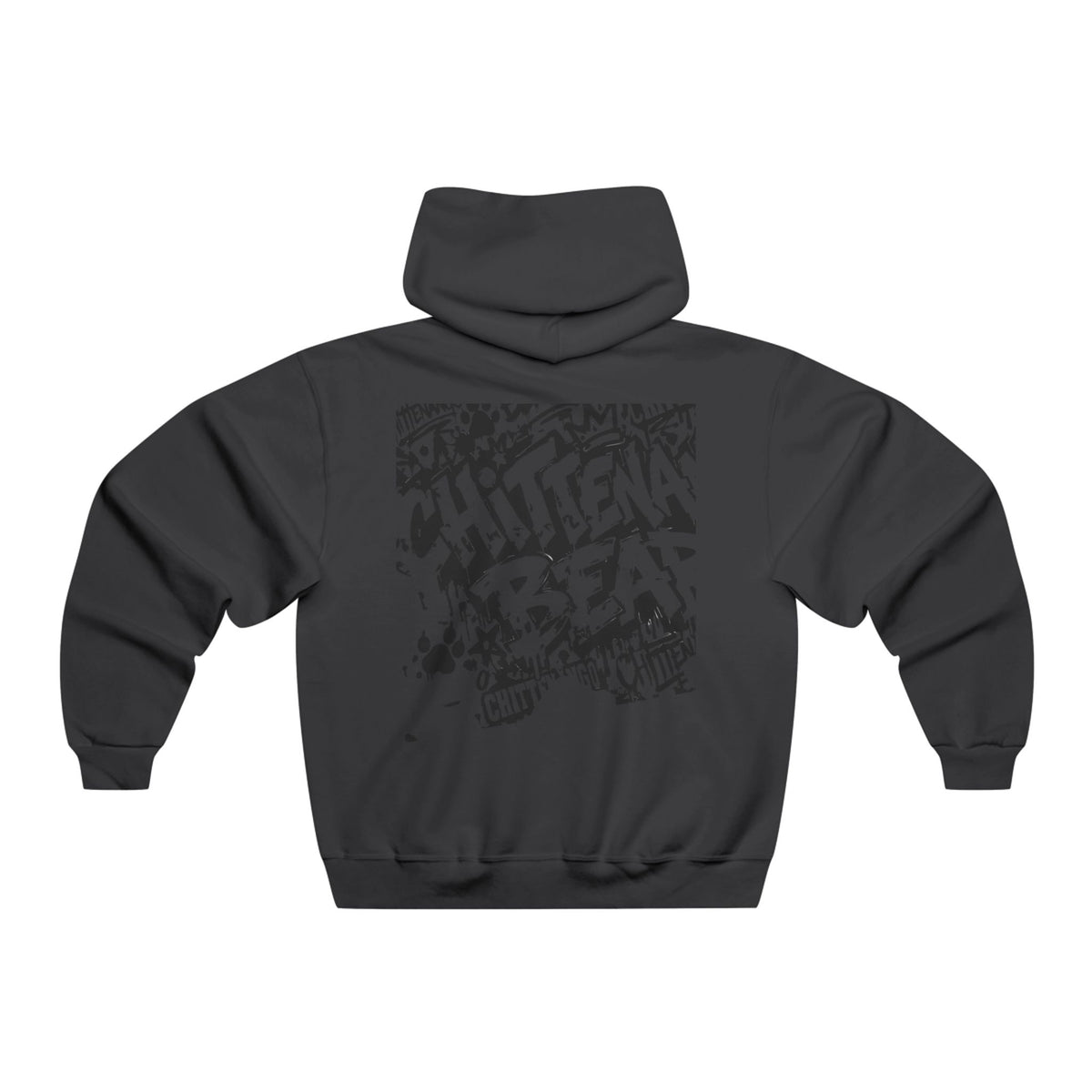 Chittenango Hoodie