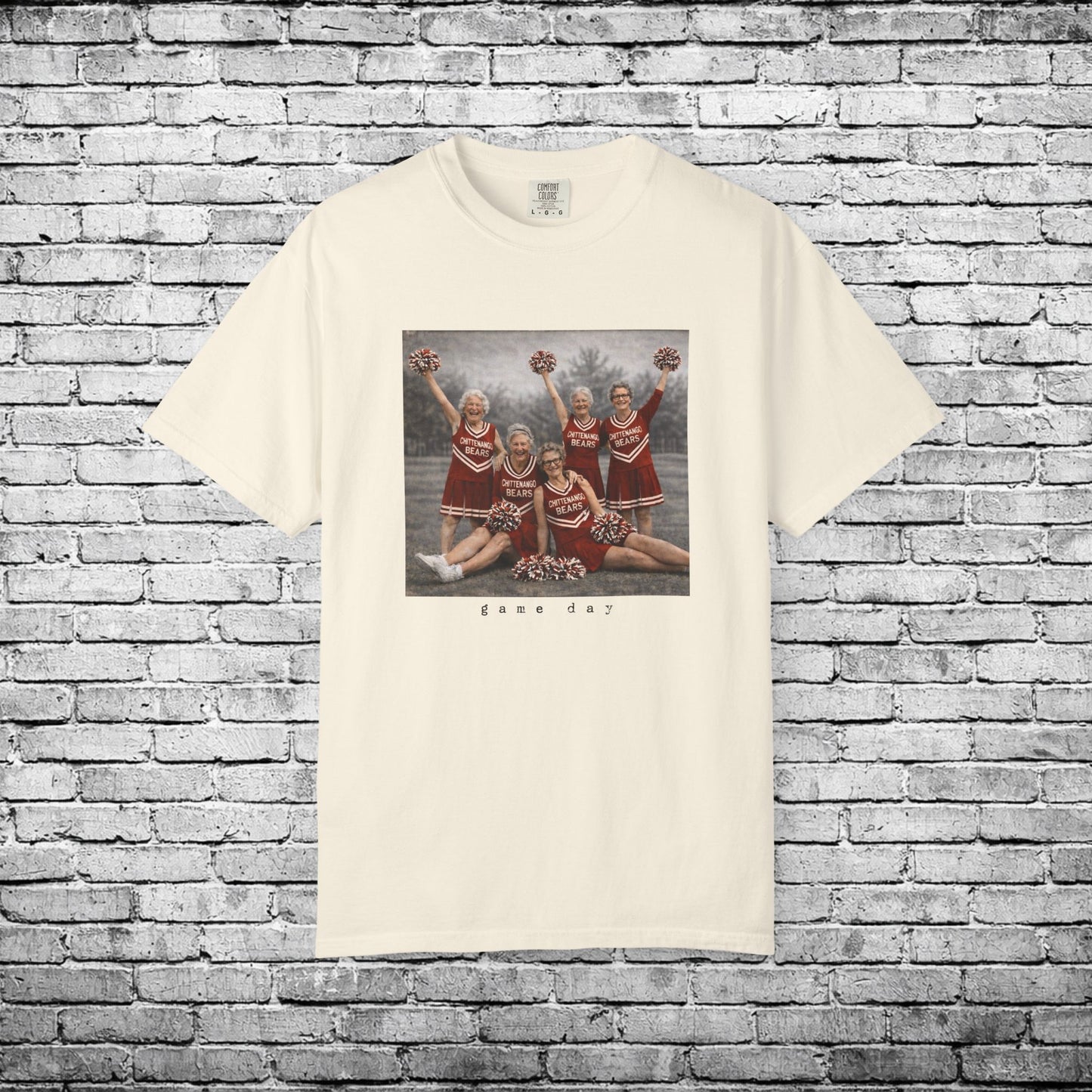 Chittenango Cheer Squad T - Comfort Colors Brand