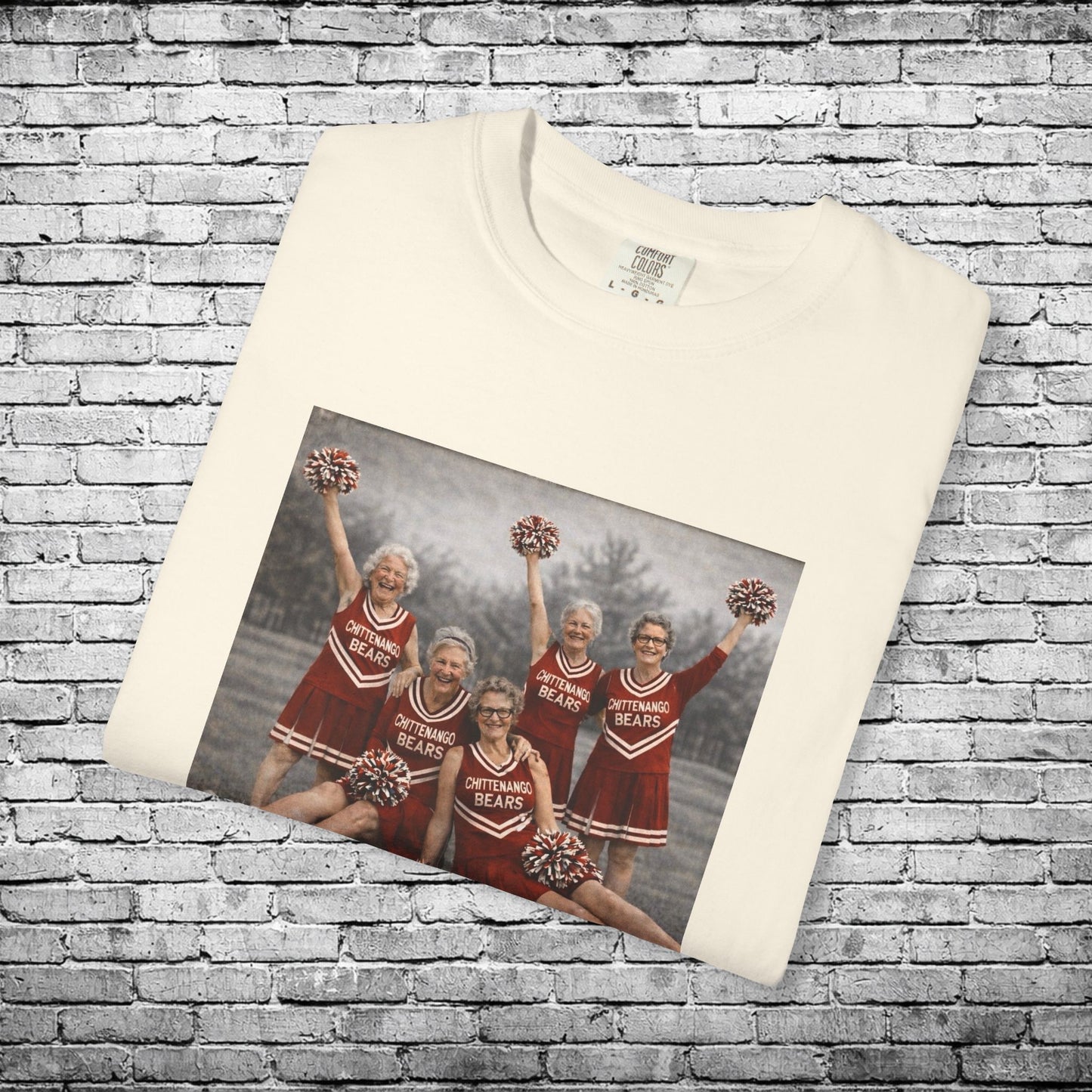 Chittenango Cheer Squad T - Comfort Colors Brand