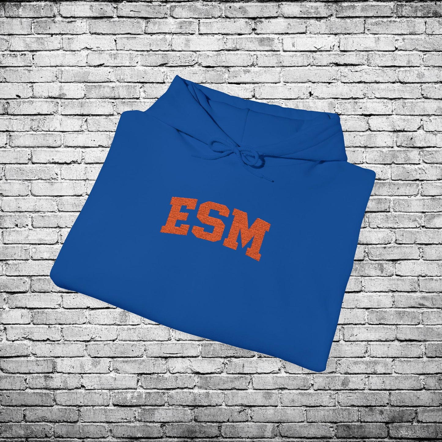 ESM Orange Embroidered Hoodie