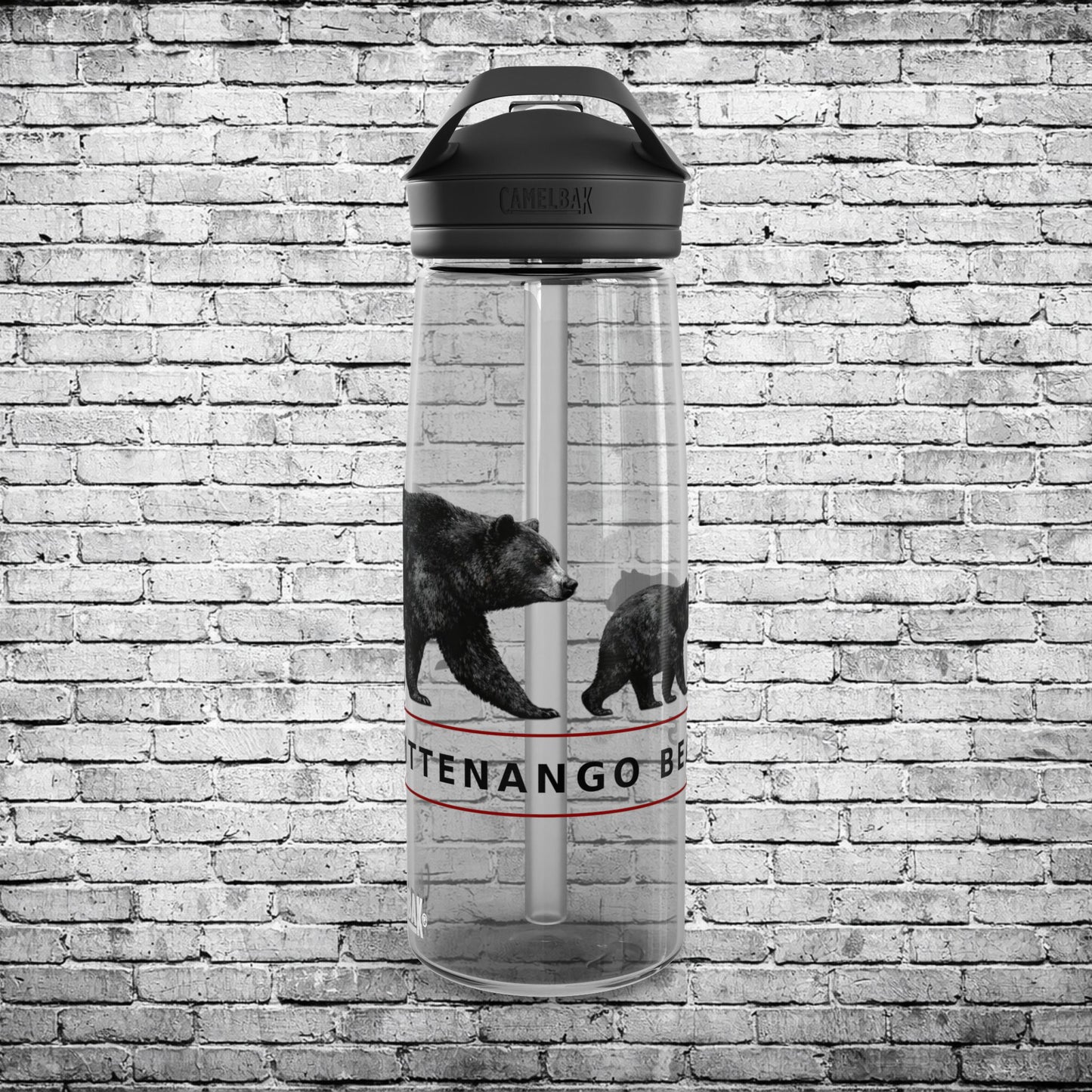 Chittenango CamelBak Three Bears Water Bottle