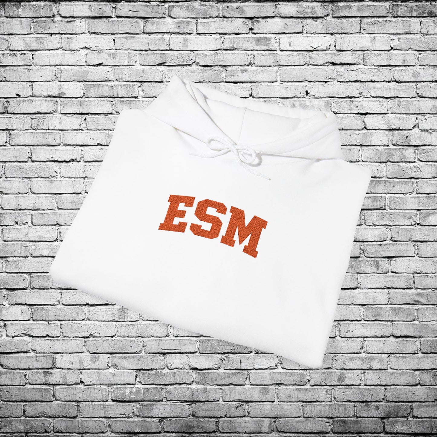 ESM Orange Embroidered Hoodie