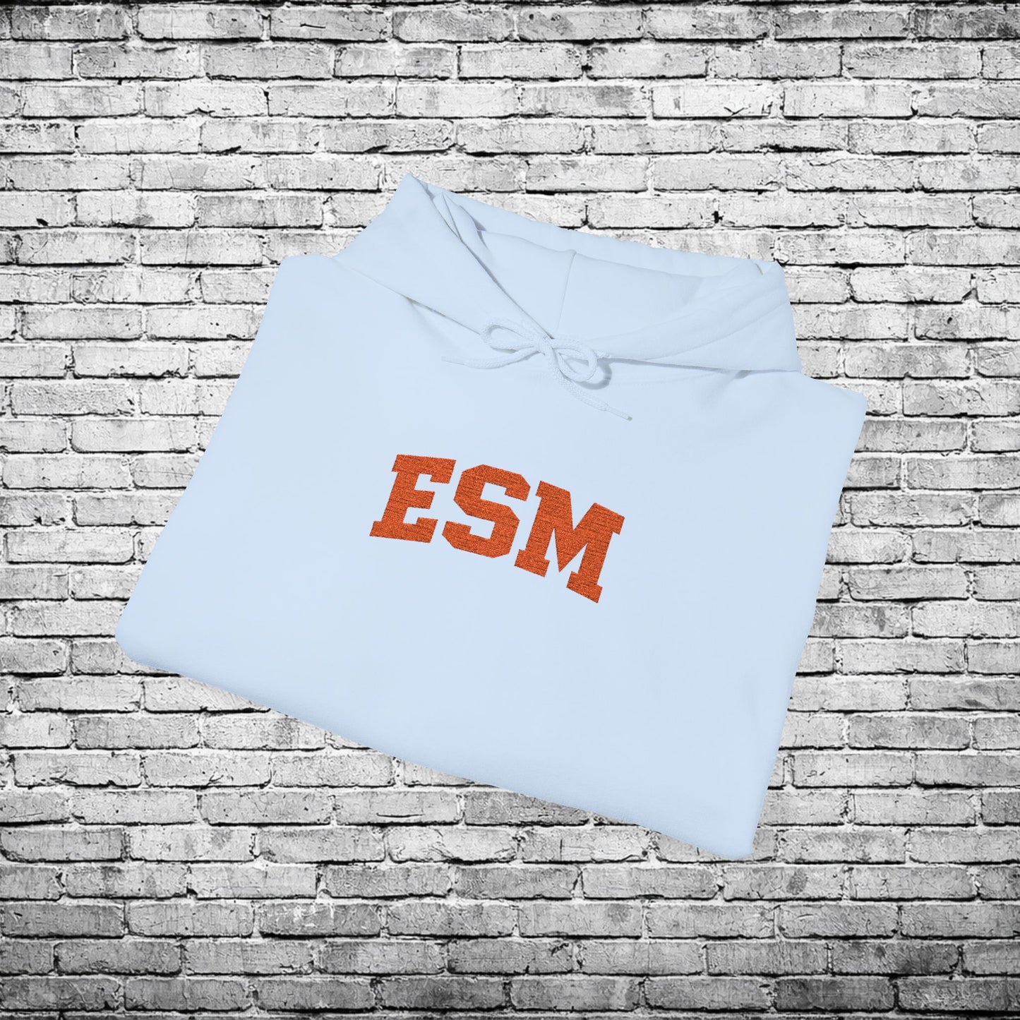 ESM Orange Embroidered Hoodie