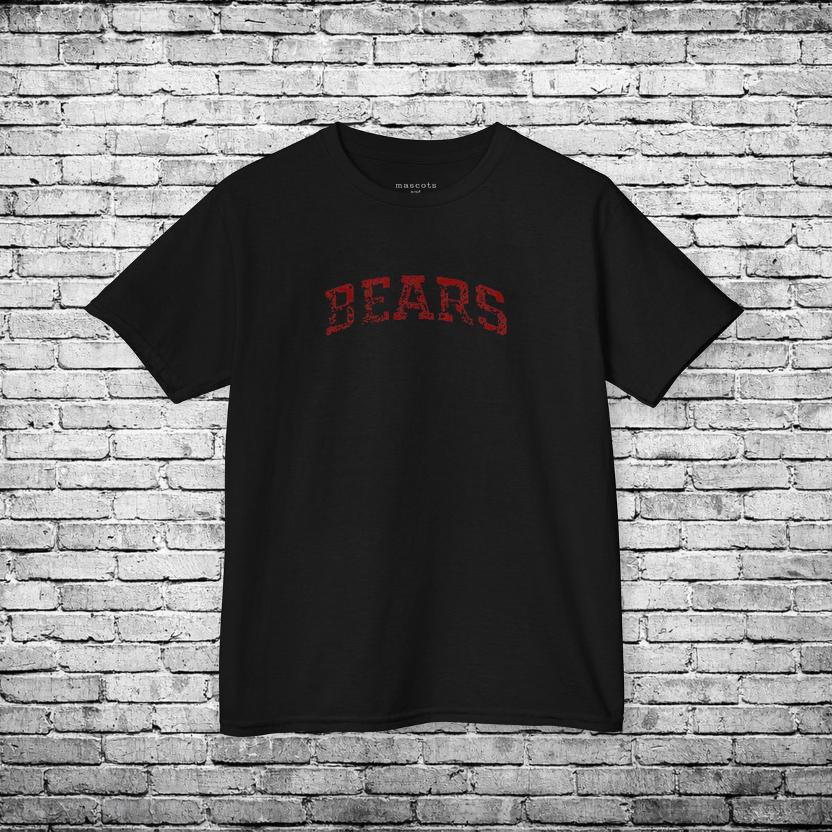 Chittenango Bears Distressed Kids T