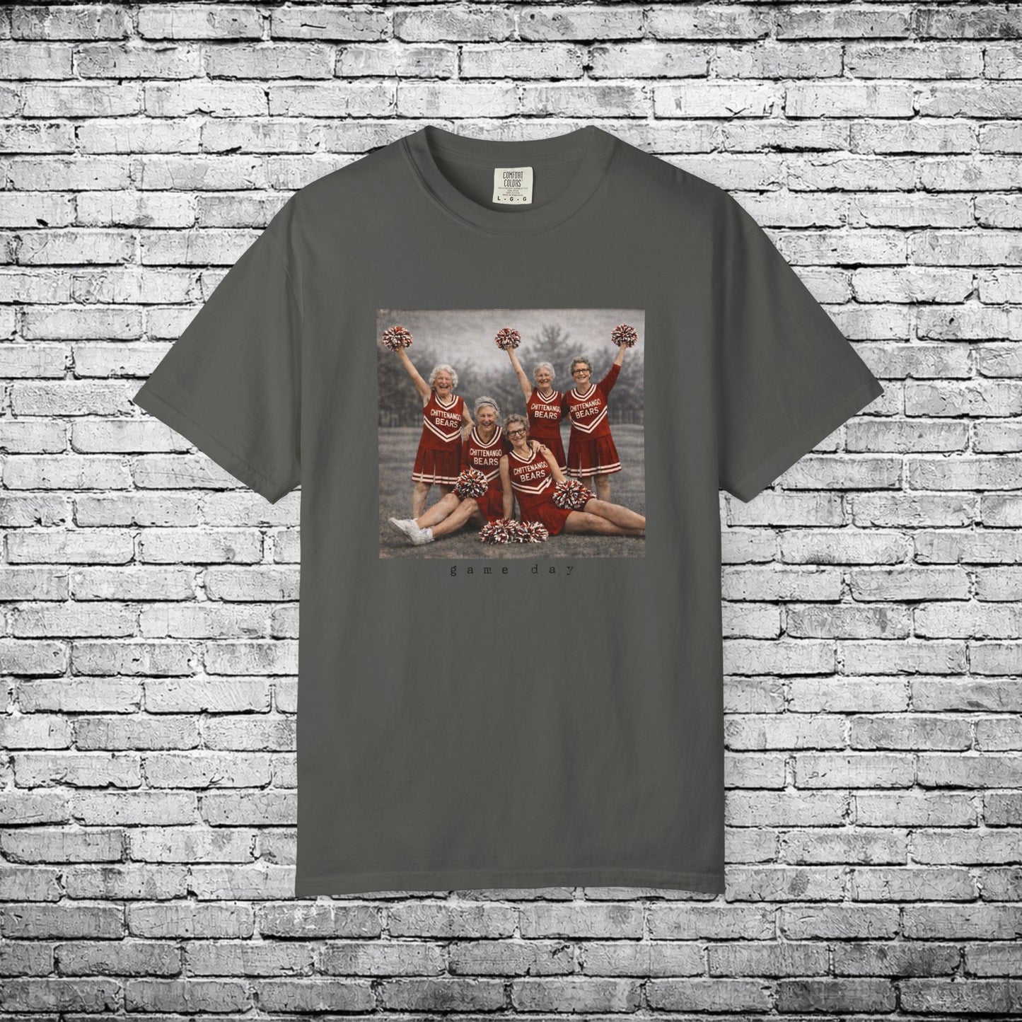 Chittenango Cheer Squad T - Comfort Colors Brand